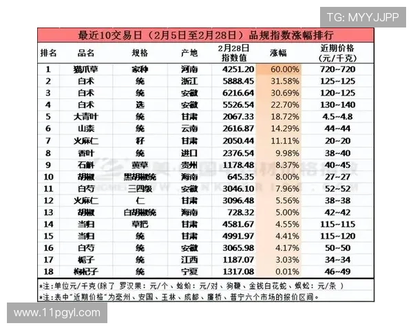 2024年白菜未来价格行情预测及市场分析 2024年白菜未来价格行情预测及市场分析